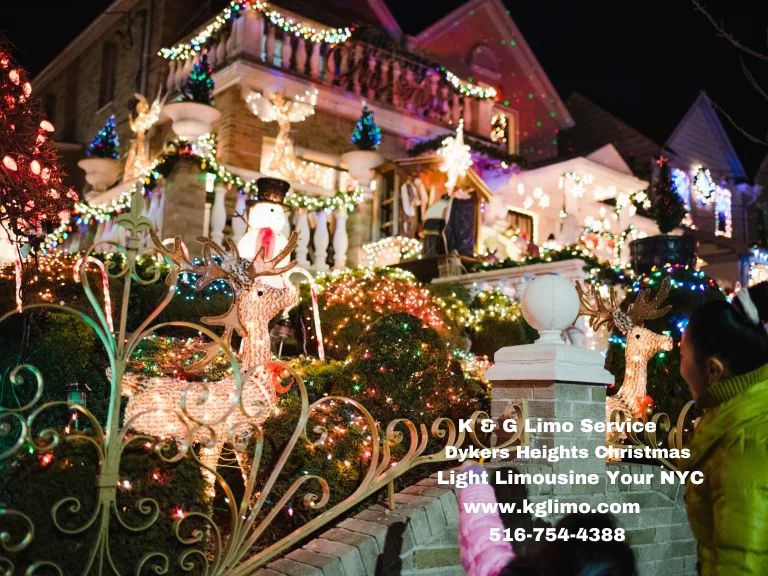 Dyker heights Holiday Limo lights tour